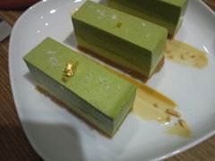 -柴务处·柴犬主题狗咖