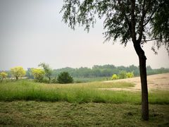 -东郊湿地公园