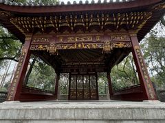 -汇龙潭