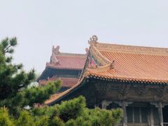-北陵公园