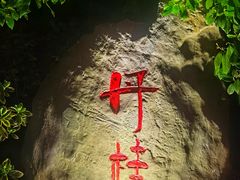 -金卉庄园