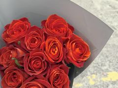 -双季花艺园艺市场(浦东店)