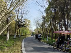 -昆山城市生态森林公园