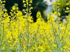 -上海市保健医疗中心