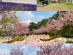 -新江湾城公园