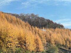 -塞罕坝国家级自然保护区