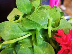 -老牌坊•鲁菜名店•地道济南菜(大观园商埠店)