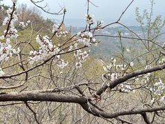 -鹫峰国家森林公园