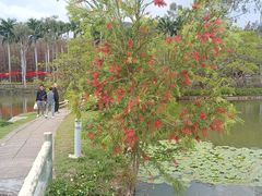-星湖旅游景区七星岩