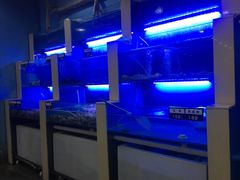-老虎滩大连海鲜烧烤(建邺云锦路总店)