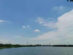 -漕湖湿地公园