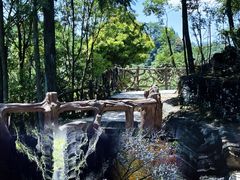 -梭布垭石林景区