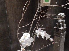 -湖滨客舍·湖北菜