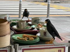 -亚坤(远东广场店)