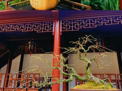 -豫园