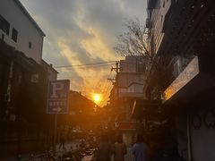 -溪岸路花鸟市场