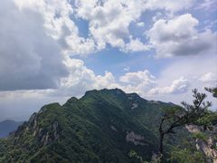 -王顺山国家森林公园