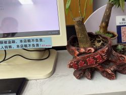 -GT潮朴美业