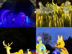 -杭州野生动物世界