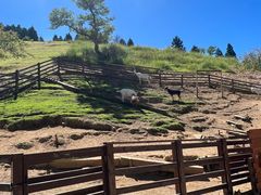 -神户市立六甲山牧场