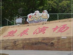 -东方熊牧场