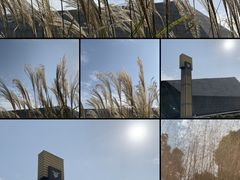 -梁鸿国家湿地公园