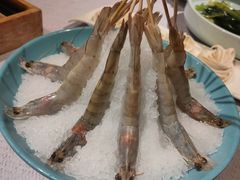 -快乐小羊·内蒙牛羊肉火锅(流花中心店)