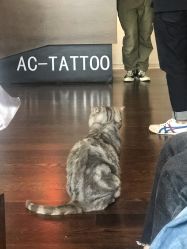 -AC TATTOO 纹身