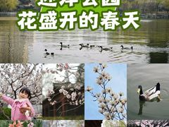 -迎泽公园