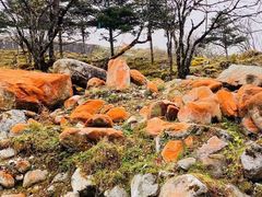 -海螺沟风景区