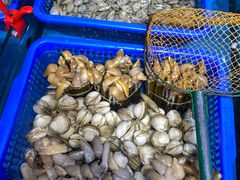 -必点海鲜·鲅鱼水饺(鞍山西道店)