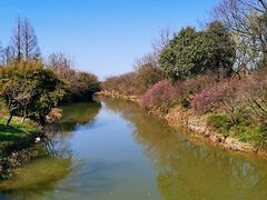 -西溪天堂商业街-停车场