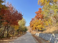 -北京西山国家森林公园