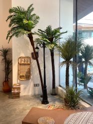 -好看加白色房子