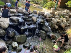 -白水寺森林公园