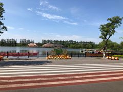 景点-上海长兴岛郊野公园