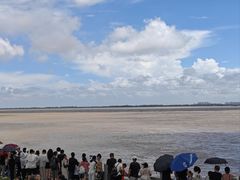 -观潮胜地公园
