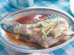 清蒸石斑-钱大妈海鲜饭店(保利林语店)