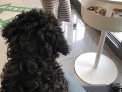 -爱侣宠医·鹦鹉专科·小型哺乳类·异宠专科(灵石路店)