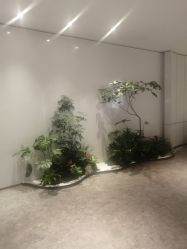 -广州美莱医疗美容医院