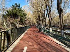 -南长河公园