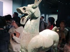 -广西壮族自治区博物馆