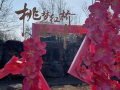 -桃花堤公园