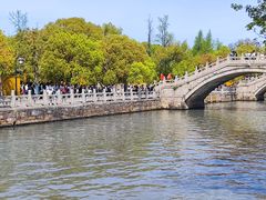 -西园戒幢律寺