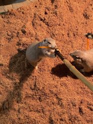 -Zoolung Zoolung动物主题公园(海信广场店)