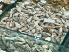 -小铜锣湾海鲜家常菜馆(河西店)