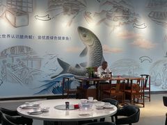 -港升鱼师傅·中山脆肉鲩