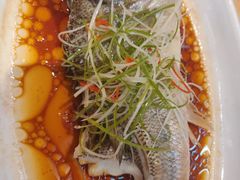 -大鸭梨(天通西苑店)