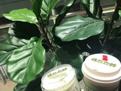 -叶子与茶(苏宁广场店)