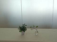 -普素书咖茶空间